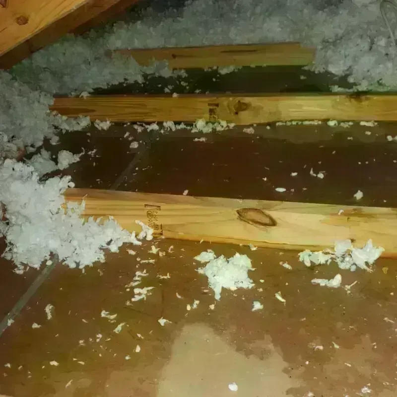 Attic Water Damage in Hollis Center, ME